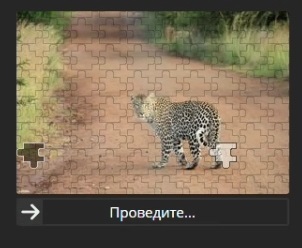 Versus_Play